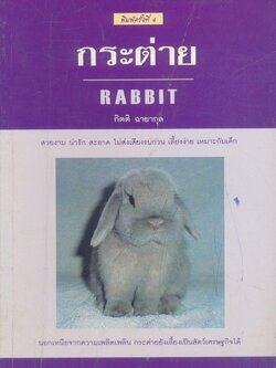 กระต่าย RABBIT