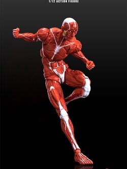 [สั่งจอง]KEEPGOING 1/12 : Human Muscle Model