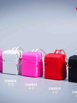 [สั่งจอง]VSTOYS 21XG82 1/6 : backpack