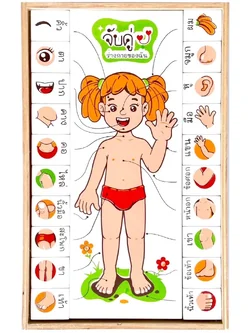 จับคู่ร่างกายของฉัน (ภาษาไทย) , ของเล่นไม้, ของเล่นเสริมพัฒนาการ, ของเล่นเด็ก, สื่อการสอนเด็ก