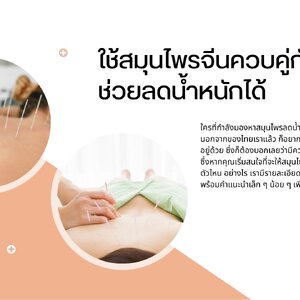 ใช้สมุนไพรจีนควบคู่กับฝังเข็มช่วยลดน้ำหนักได้