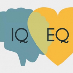 อีคิว (E.Q) กับไอคิว(I.Q) แตกต่างกันอย่างไร ?