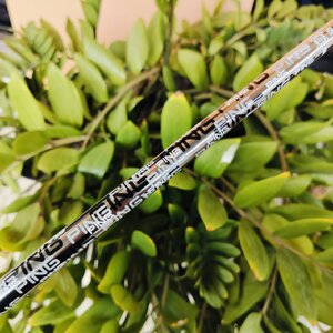 ก้านใส่หัวไม้ ยาว 43.5 PING TOUR 65 SHAFT สภาพสวยมาก มีกริพติดมาด้วย กริพแท้เดิม สภาพนางฟ้า ไม้กอล์ฟพรีเมี่ยมมือสอง ของแท้ By NakaraLuxurious