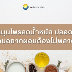 4 สมุนไพรลดน้ำหนัก ปลอดภัย คนอยากผอมต้องไม่พลาด