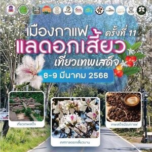 เมืองกาแฟ แลดอกเสี้ยว เที่ยวเทพเสด็จ ครั้งที่11