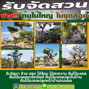 ขายส่งหินกาบ โทร 065-3549747 หินแต่งสวน หินจัดสวน หินทำน้ำตก จัดหาหินธรรมชาติ หินกาบ หินมอส หินฟองน้ำ