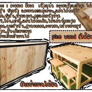 pine wood(ไม้สน)