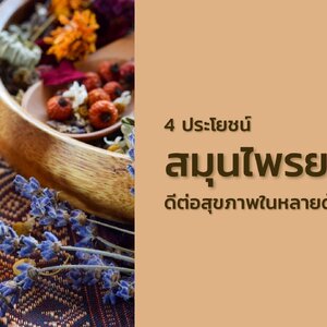4 ประโยชน์สมุนไพรยาดม ดีต่อสุขภาพในหลายด้าน