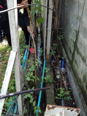 ทรงคนอง