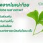 คลอโรไซม์