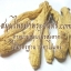 Dried Ginseng / Panax/ Korean ginseng/ Asian ginseng