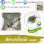 ฟ้าทะลายโจรแห้ง( 100กรัม - 500กรัม - 1กิโล ) / ( 100g - 500g - 1kg ) สมุนไพรท่าพระจันทร์