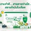 คลอโรไซม์