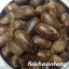 ลูกจันทน์เทศ