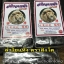 ลำไยแห้ง เนื้อดำแดง ตราสิงโต