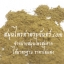 Mangosteen Powder