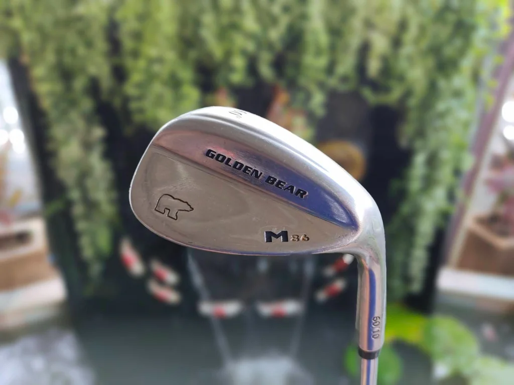 WEDGE GOLDREN BEAR