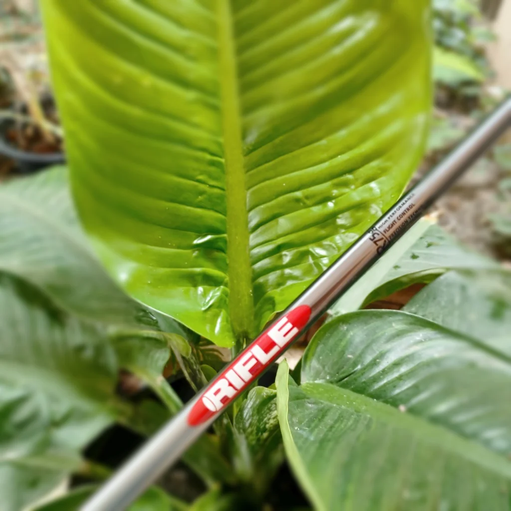 HYBRID 4 PERRY GEAR GRAND STEEL