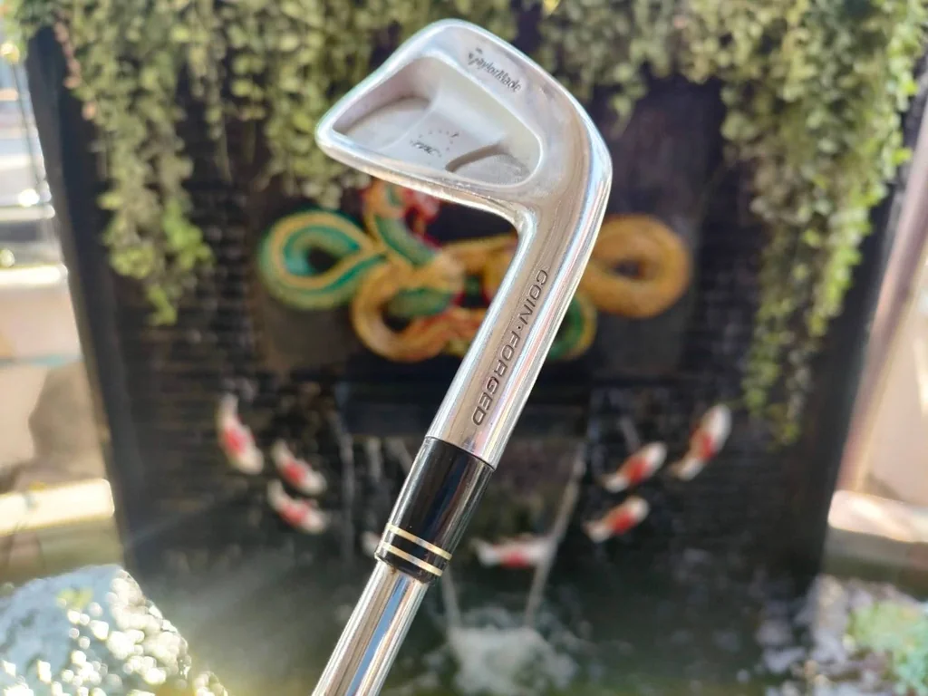 เหล็ก 2 Taylormade RAC FORGED