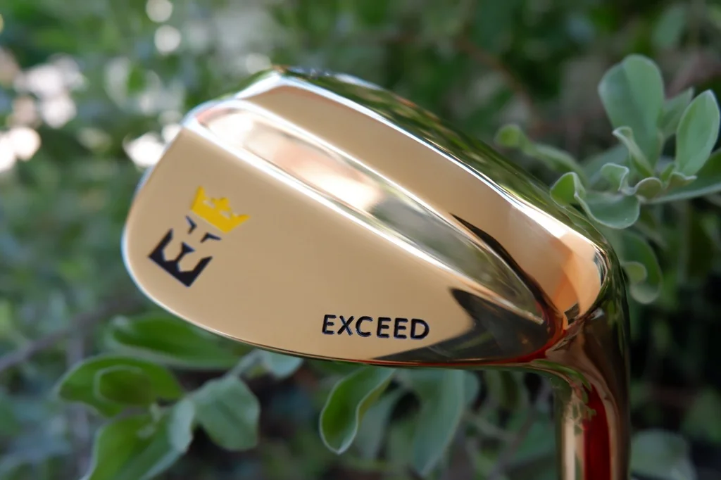 WEDGE EXCEED GOLD หน้าตะไบ สีทอง WEDGE EXCEED GOLD หน้าตะไบ สีทอง