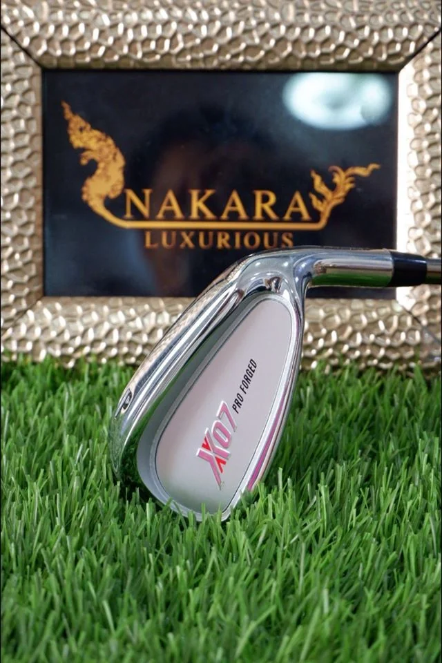 เหล็ก PW T-ZOOM X07 PRO FORGED (หัวเงิน)