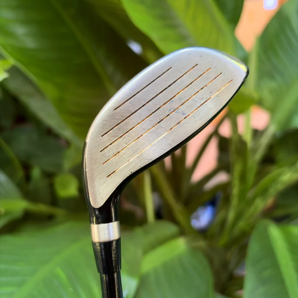 ชุดไม้กอล์ฟ PING G10 ครบเซตพรีเมียม พร้อมถุงกอล์ฟขาตั้ง PING คู่ตัว สภาพสวยพร้อมสู้ทุกสนาม!
