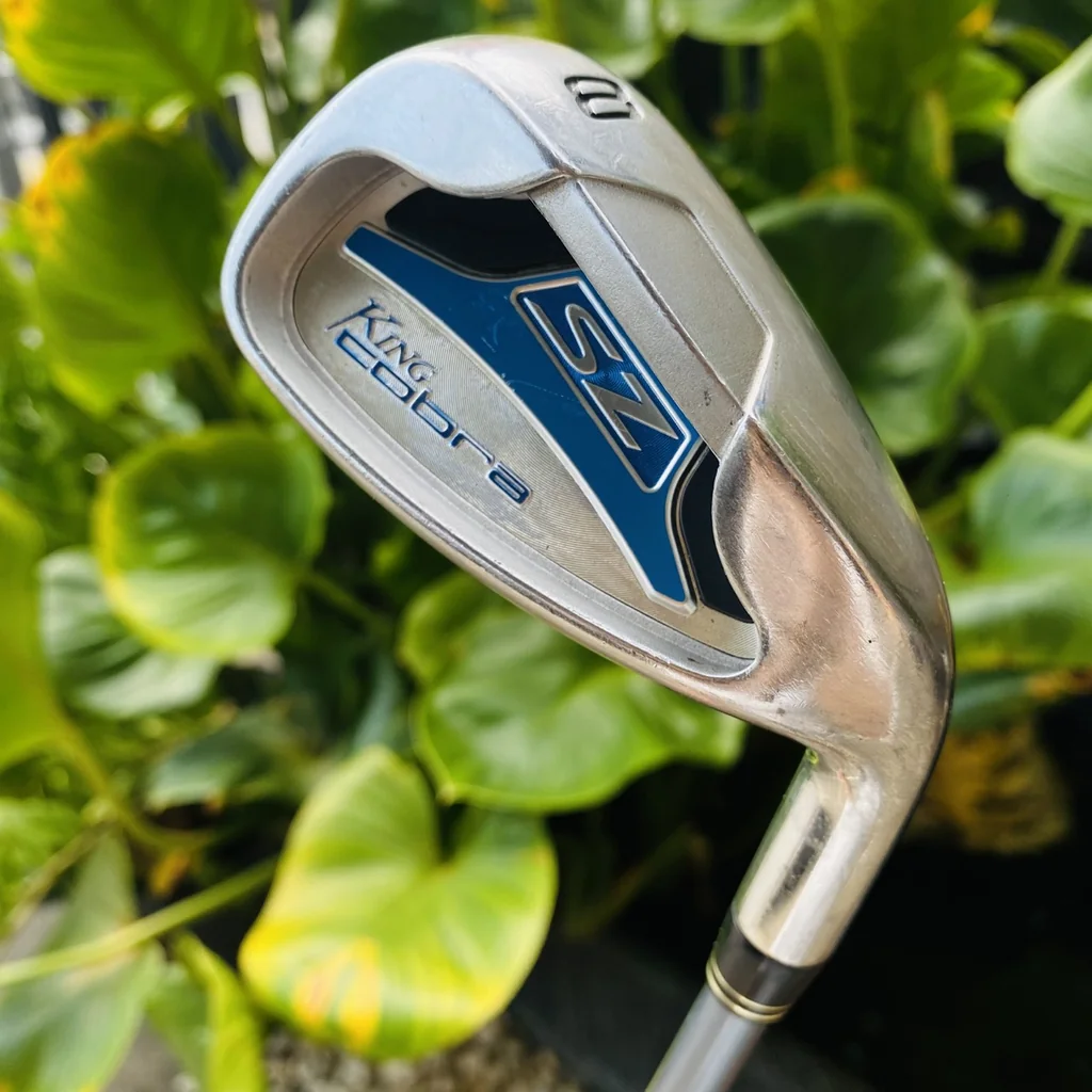 ชุดเหล็กผู้หญิง🌷KING COBRA SZ ก้าน ALDILA DVS FLEX L มีเหล็ก 5 6 7 8 9 P G S ⛳️💖 ชุดเหล็กผู้หญิง🌷KING COBRA SZ ก้าน ALDILA DVS FLEX L มีเหล็ก 5 6 7 8 9 P G S ⛳️💖