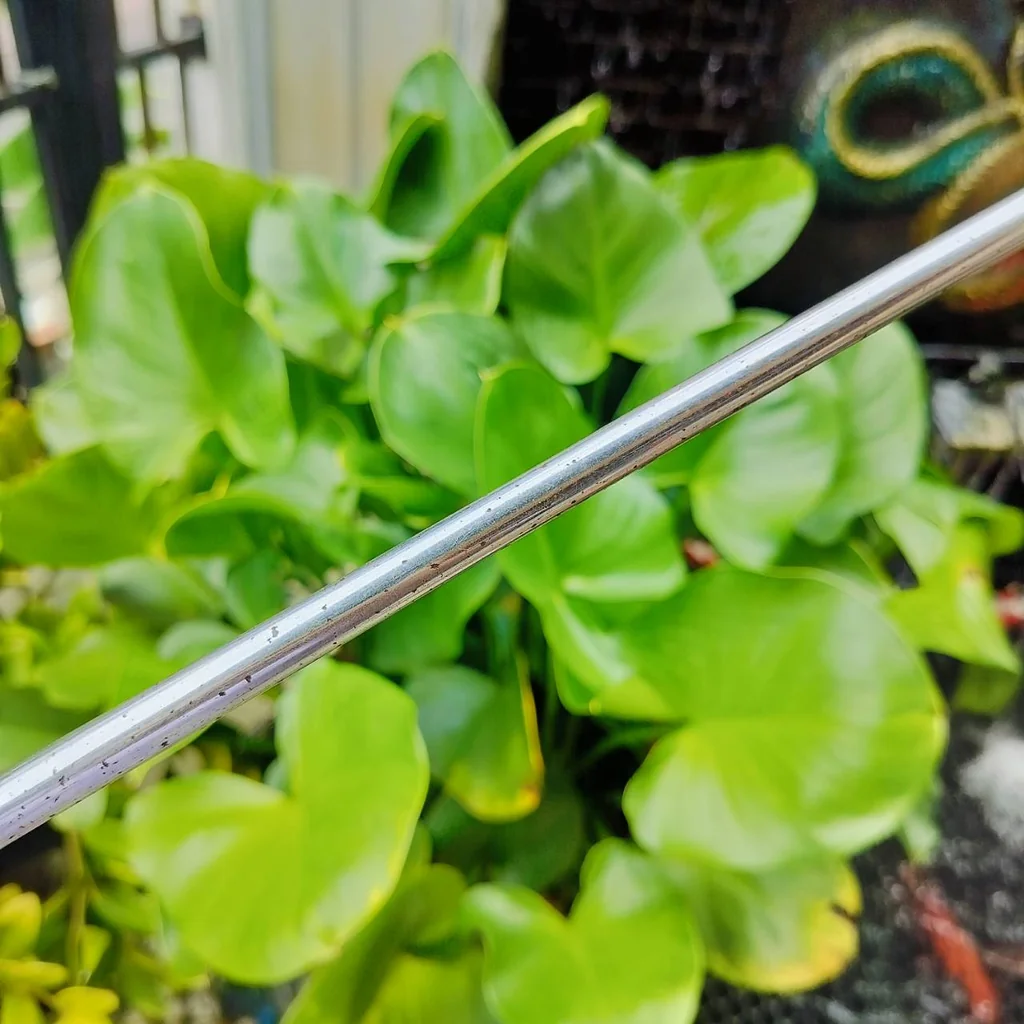 PUTTER PING PAL 2 ความยาว 34 นิ้ว รุ่นนี้มีหน้าที่กว้างขึ้น พัตต์ง่ายขึ้น ตรงมากขึ้น ไม้กอล์ฟพรีเมี่ยมญี่ปุ่นมือสอง ของแท้ By NakaraLuxurious PUTTER PING PAL 2 ความยาว 34 นิ้ว รุ่นนี้มีหน้าที่กว้างขึ้น พัตต์ง่ายขึ้น ตรงมากขึ้น ไม้กอล์ฟพรีเมี่ยมญี่ปุ่นมือสอง ของแท้ By NakaraLuxurious