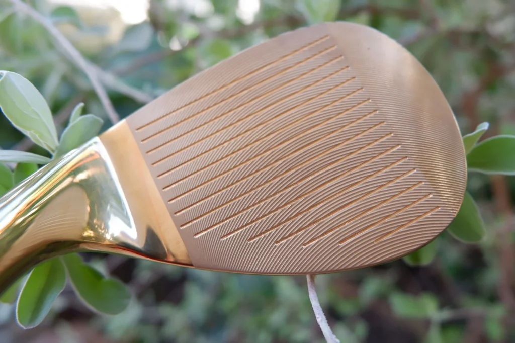 WEDGE EXCEED GOLD หน้าตะไบ สีทอง WEDGE EXCEED GOLD หน้าตะไบ สีทอง