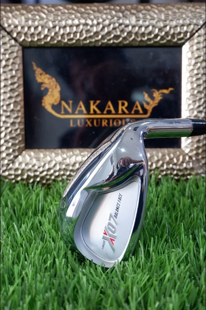 เหล็ก SW T-ZOOM X07 FORGED BALANC FACE (หัวเงิน) เหล็ก SW T-ZOOM X07 FORGED BALANC FACE (หัวเงิน)