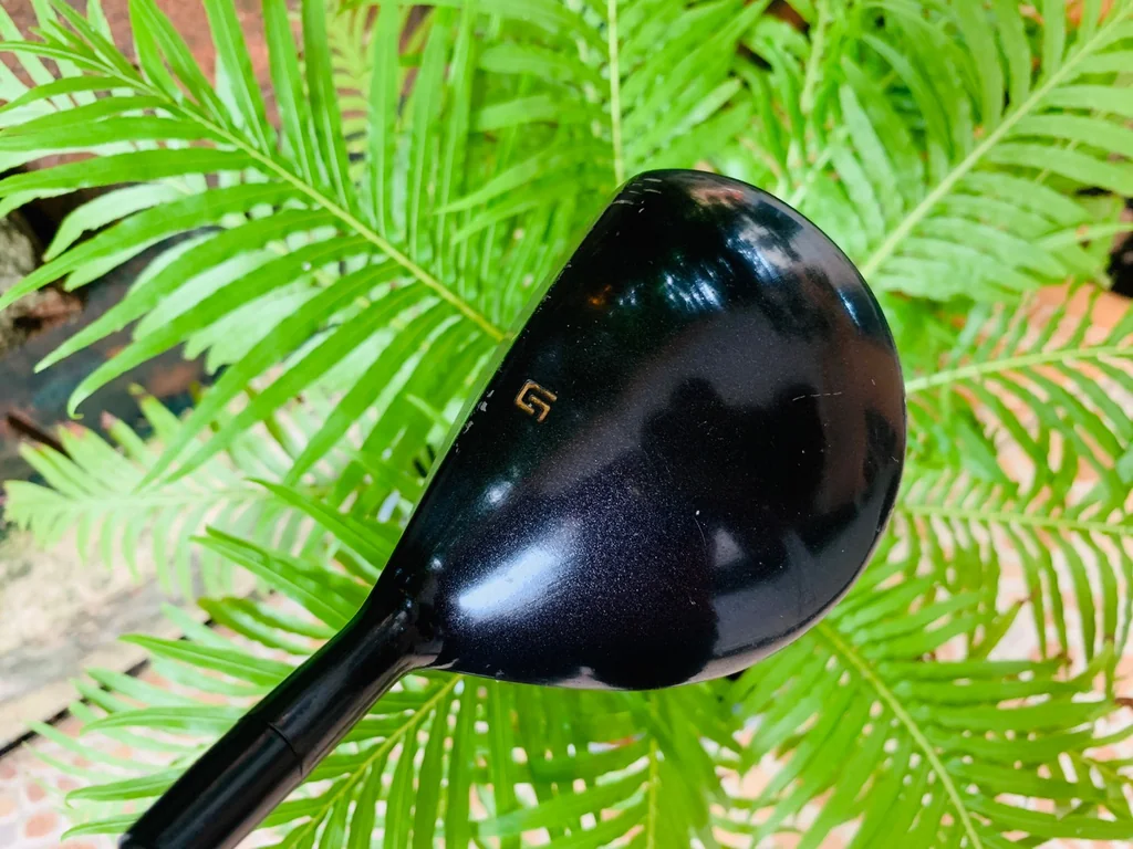 Fairway 5 golf challenge