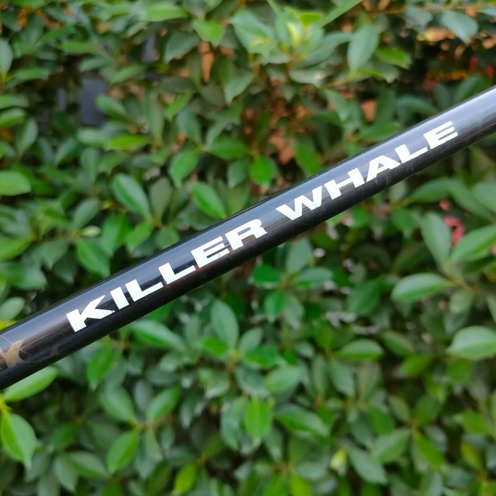 FW5 WILSON KILLER WHALE OVERSIZE องศา 20 ก้าน KILLER WHALE FLEX R ** กระดองมีรอยตำหนิ มีรูปให้ชมค่ะ ** FW5 WILSON KILLER WHALE OVERSIZE องศา 20 ก้าน KILLER WHALE FLEX R ** กระดองมีรอยตำหนิ มีรูปให้ชมค่ะ **