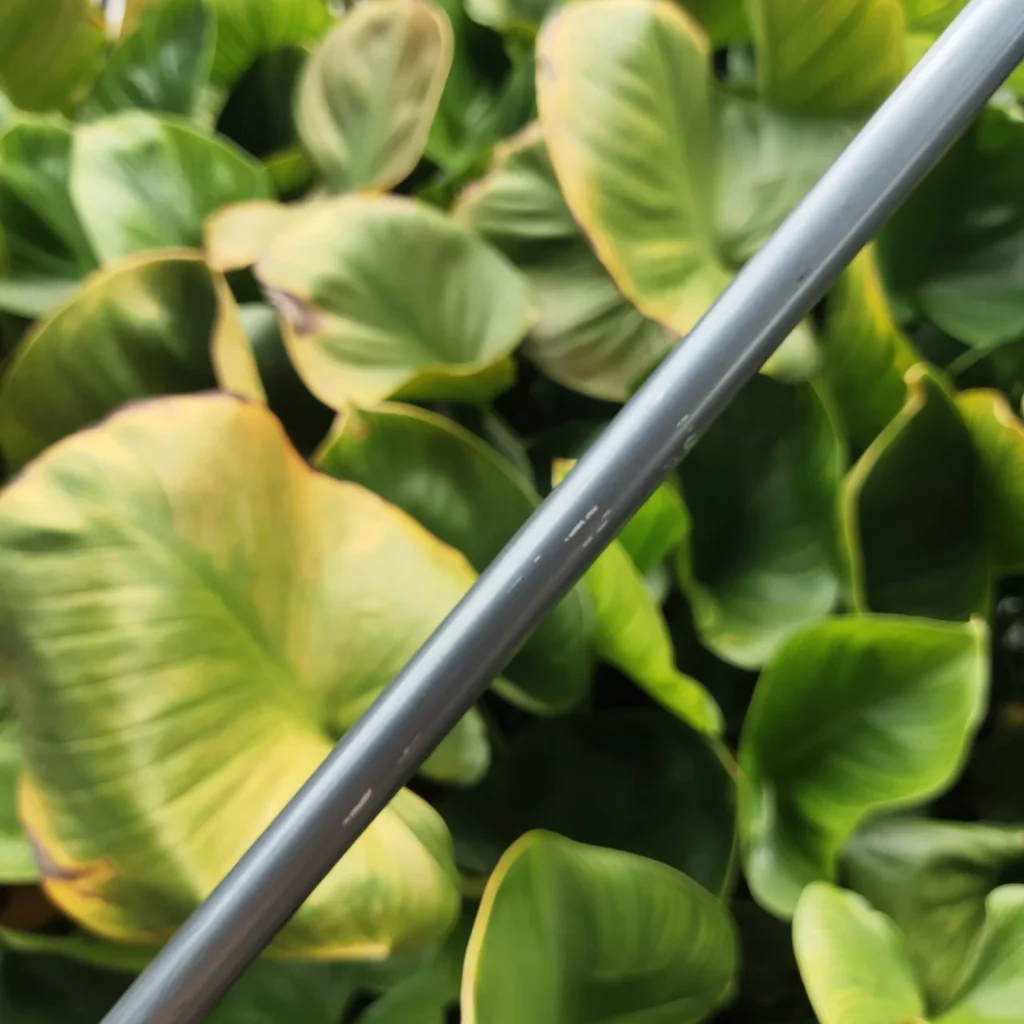 PUTTER CALLAWAY THE TUTTLE ทรงหลังเต่า ตัวดัง!! Tuttle Mallet พัตต์ดีมากกก PUTTER CALLAWAY THE TUTTLE ทรงหลังเต่า ตัวดัง!! Tuttle Mallet พัตต์ดีมากกก