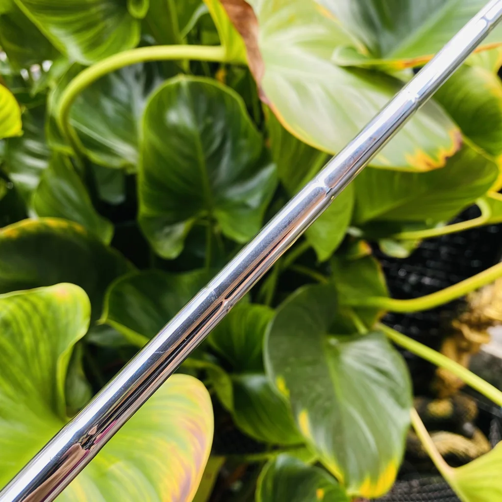 ðĨPUTTER ODYSSEY METAL-X MILLED #7 āļāļ§āļēāļĄāļĒāļēāļ§ 33 āļāļīāđāļ§âģïļāļāļĢāļMallet āļĢāļ°āļāļąāļāļāļĢāļĩāđāļĄāļĩāļĒāļĄ āđāļŦāđāļāļĩāļĨāļĨāļīāđāļāļāļļāđāļĄāļāļ§āļĨ ðĨPUTTER ODYSSEY METAL-X MILLED #7 āļāļ§āļēāļĄāļĒāļēāļ§ 33 āļāļīāđāļ§âģïļāļāļĢāļMallet āļĢāļ°āļāļąāļāļāļĢāļĩāđāļĄāļĩāļĒāļĄ āđāļŦāđāļāļĩāļĨāļĨāļīāđāļāļāļļāđāļĄāļāļ§āļĨ