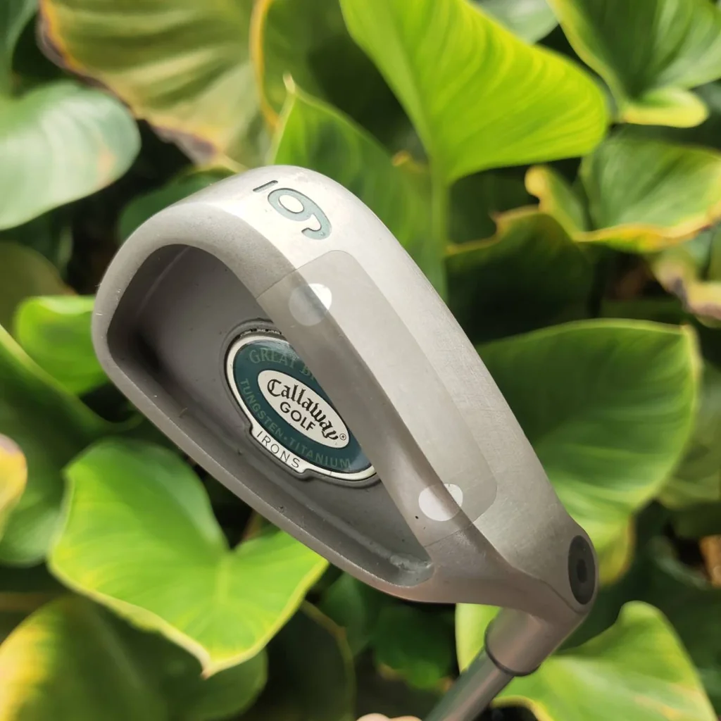 ไม้กอล์ฟผู้หญิง เหล็ก 6 Callaway GREAT BIG BERTHA ก้าน LADIES GEMS "สุภาพสตรีต้องการระยะและความง่าย" ไม้กอล์ฟผู้หญิง เหล็ก 6 Callaway GREAT BIG BERTHA ก้าน LADIES GEMS "สุภาพสตรีต้องการระยะและความง่าย"