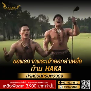 ก้านไม้กอล์ฟมือหนึ่ง