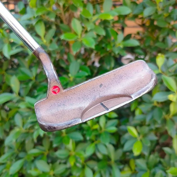  PUTTER TAYLORMADE PRO.FORMANCRE ความยาว 34 นิ้ว ก้าน STANDARD   image 3