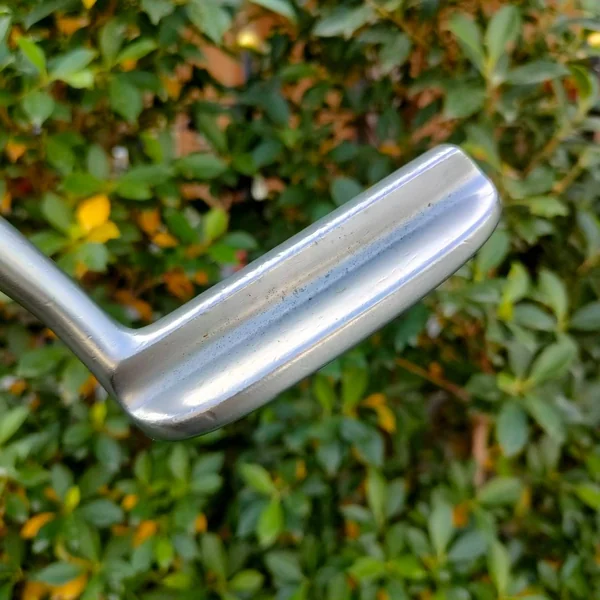 PUTTER CLASSIC FEL1005 ก้าน HONMA SUPER GOLD ความยาว 35 นิ้ว   image 4