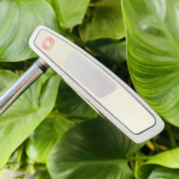 Putter ODYSSEY TWO-BALL BLADE White Steel 34″ 🟢✨ เล็งง่ายด้วย Two-Ball ฟีลนุ่ม คุมระยะดี 🎯 กริพใหม่เอี่ยม จับมั่นใจ พร้อมออกรอบ ⛳🔥 image 2 Putter ODYSSEY TWO-BALL BLADE White Steel 34″ 🟢✨ เล็งง่ายด้วย Two-Ball ฟีลนุ่ม คุมระยะดี 🎯 กริพใหม่เอี่ยม จับมั่นใจ พร้อมออกรอบ ⛳🔥 image 2