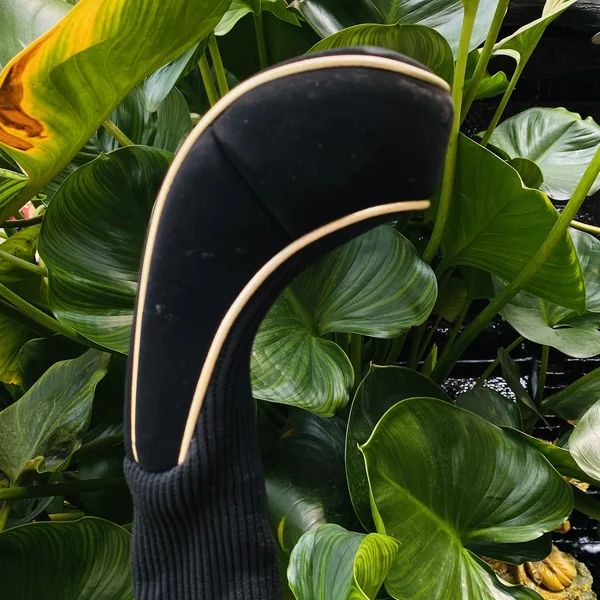 🏌️♂️✨3W ORLIMAR YARD HUNTER องศา 15° FLEX R หัวสีทองพรีเมี่ยม หน้าไม้เด้ง ลูกพุ่งแรง ฟีลเกินตัว💥 image 10 🏌️♂️✨3W ORLIMAR YARD HUNTER องศา 15° FLEX R หัวสีทองพรีเมี่ยม หน้าไม้เด้ง ลูกพุ่งแรง ฟีลเกินตัว💥 image 10