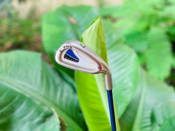 ชุดเหล็ก PING MOXIE เหมาะสำหรับเด็กช่วงอายุ 12 -15 ปี image 1 ชุดเหล็ก PING MOXIE เหมาะสำหรับเด็กช่วงอายุ 12 -15 ปี image 1
