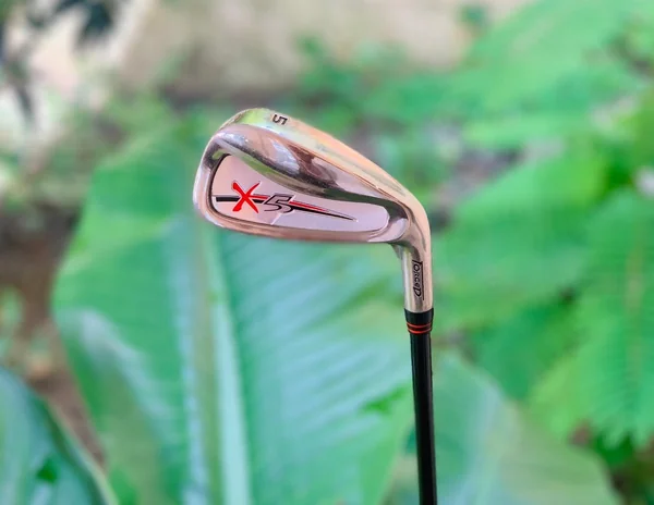 **ไม้กอล์ฟสำหรับผู้หญิง** เหล็ก 5 T-ZOOM X-5 FORGED image 1 **ไม้กอล์ฟสำหรับผู้หญิง** เหล็ก 5 T-ZOOM X-5 FORGED image 1