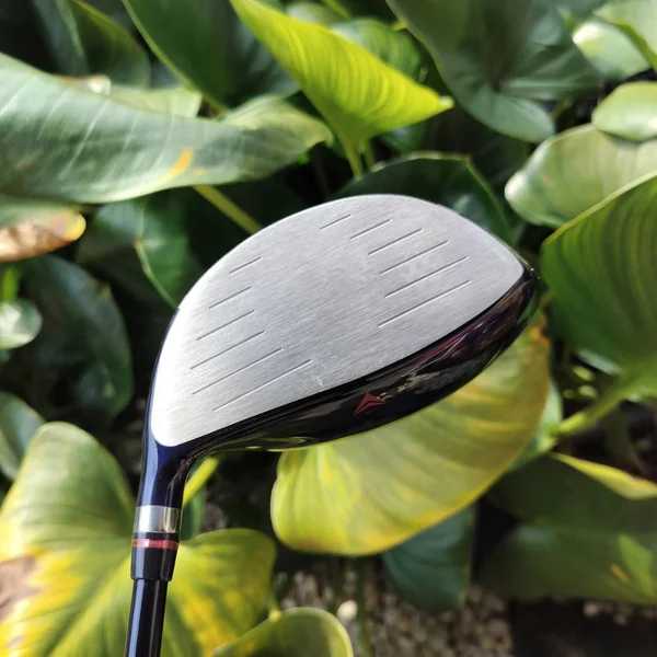 SET KASCO DIMPALS G7 LADY สภาพสวยนางฟ้า ชุดกอล์ฟพรีเมี่ยมญี่ปุ่น ก้านเบา ถุงกอล์ฟสวยมาก ไม้กอล์ฟพรีเมี่ยมมือสอง By NakaraLuxurious   image 8