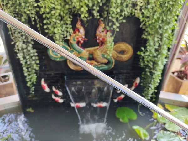 PUTTER DECUXE วัสดุพรีเมี่ยมทองเหลือง image 4 PUTTER DECUXE วัสดุพรีเมี่ยมทองเหลือง image 4
