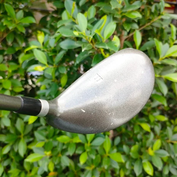 HYBRID WILSON PRO STAFF PTI องศา 21 ก้าน PRO STAFF PT FLEX R ตีง่าย ตีตรง น้ำหนักดี แม่นกรีน image 4 HYBRID WILSON PRO STAFF PTI องศา 21 ก้าน PRO STAFF PT FLEX R ตีง่าย ตีตรง น้ำหนักดี แม่นกรีน image 4