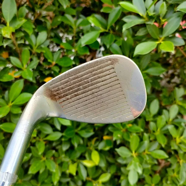 WEDGE TITLELIST BV 254.10 VOKEY DESIGN องศา 54 ก้าน DYNAMIC GOLD FLEX WEDGE image 3 WEDGE TITLELIST BV 254.10 VOKEY DESIGN องศา 54 ก้าน DYNAMIC GOLD FLEX WEDGE image 3