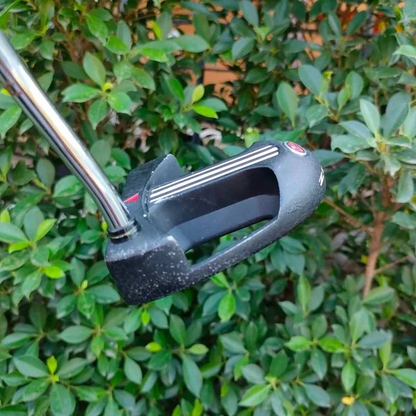 PUTTER ZEBRA CAMBER SOLE CST_1 ความยาว 34 นิ้ว ก้าน ZEBRA CST_1 ชดเชยความผิดพลาดได้ดีเยี่ยม หน้า Milled เกาะไลน์มากๆ image 5 PUTTER ZEBRA CAMBER SOLE CST_1 ความยาว 34 นิ้ว ก้าน ZEBRA CST_1 ชดเชยความผิดพลาดได้ดีเยี่ยม หน้า Milled เกาะไลน์มากๆ image 5