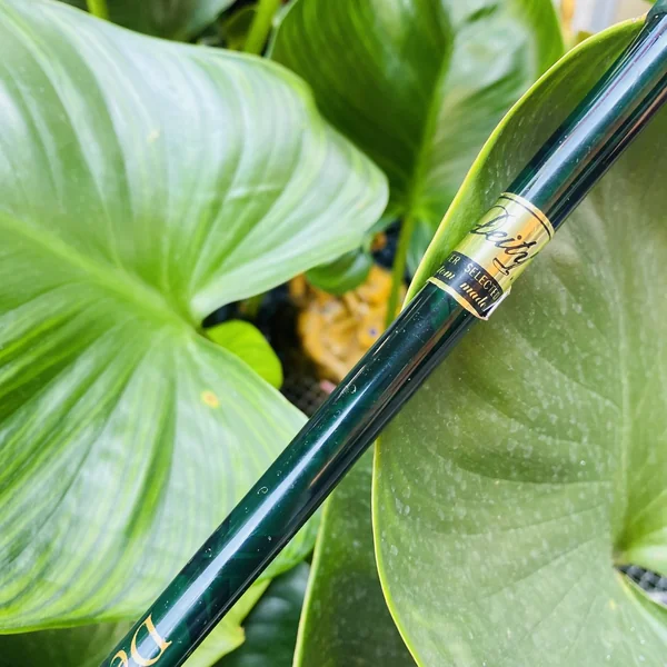 PUTTER DEITY JADE COLLECTION ⛳ดีไซน์พรีเมี่ยม หยกสวยหรู✨บาลานซ์ดี ฟีลนิ่ง คุมทิศแม่น🎯น้ำหนักกำลังดี image 7 PUTTER DEITY JADE COLLECTION ⛳ดีไซน์พรีเมี่ยม หยกสวยหรู✨บาลานซ์ดี ฟีลนิ่ง คุมทิศแม่น🎯น้ำหนักกำลังดี image 7