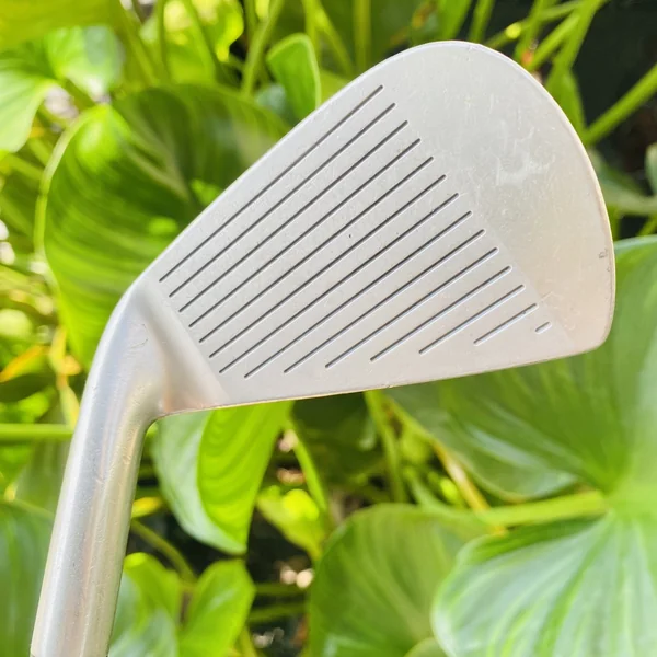 ชุดเหล็กผู้หญิงMASTER FIESTA OF GOLF FORGED CAVITY 56789PFS💕ก้านFLEX LADYน้ำหนักเบาตีง่ายคุมทิศสบาย image 14 ชุดเหล็กผู้หญิงMASTER FIESTA OF GOLF FORGED CAVITY 56789PFS💕ก้านFLEX LADYน้ำหนักเบาตีง่ายคุมทิศสบาย image 14