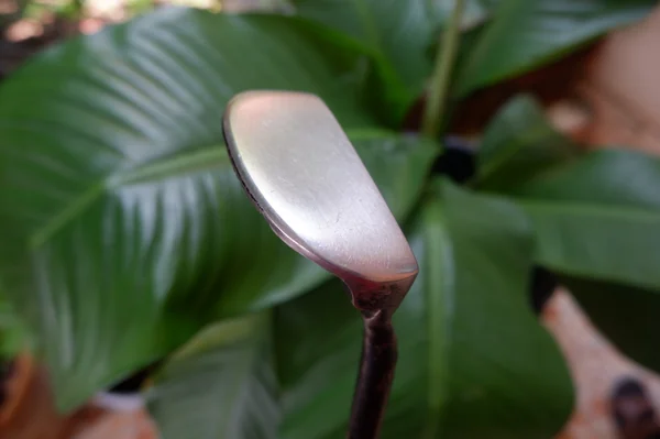 PUTTER COSMON image 2 PUTTER COSMON image 2